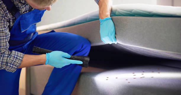 Trusted St Augustine, FL Pest Control Experts