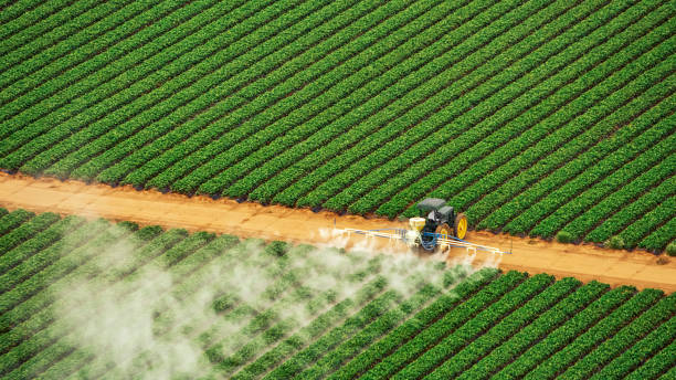Best Commercial Pest Control Services  in St Augustine, FL
