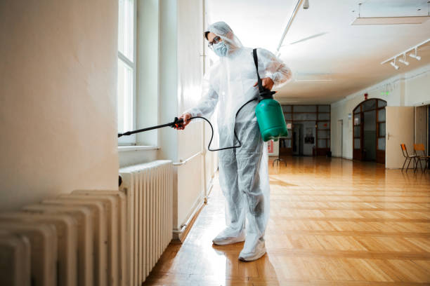 Best Best Pest Control Near Me  in St Augustine, FL